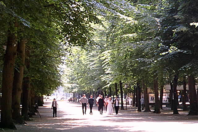 4008_Bad_Pyrmont_1.jpg