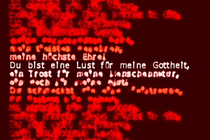 4048_feuer_03.jpg