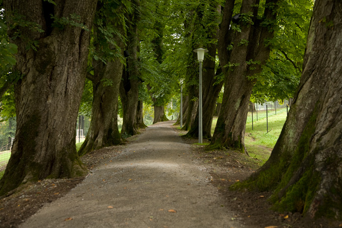 5036_Klangallee_A_1.jpg