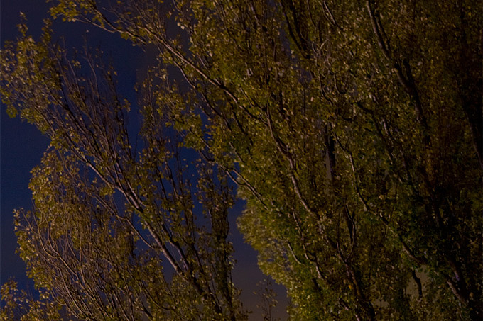 900811_0535_1.jpg