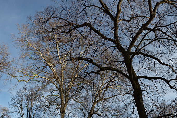 900823_1000_01.jpg